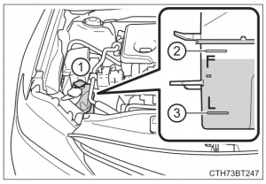 Toyota Camry Coolant (Updated January/2026)